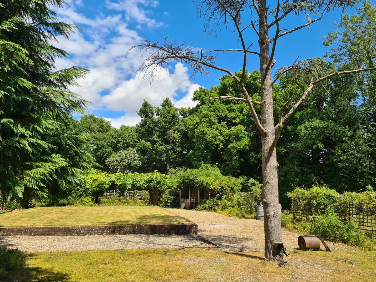 The Reading Whole Apartment With Private Lake And Gardens Kültér fotó