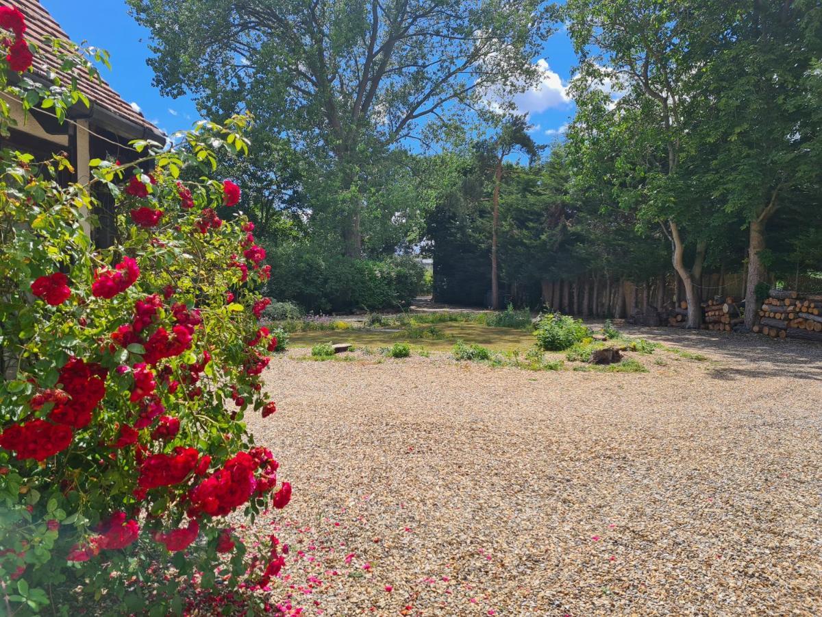The Reading Whole Apartment With Private Lake And Gardens Kültér fotó