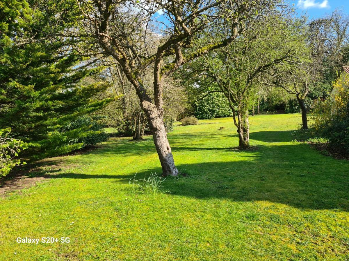 The Reading Whole Apartment With Private Lake And Gardens Kültér fotó